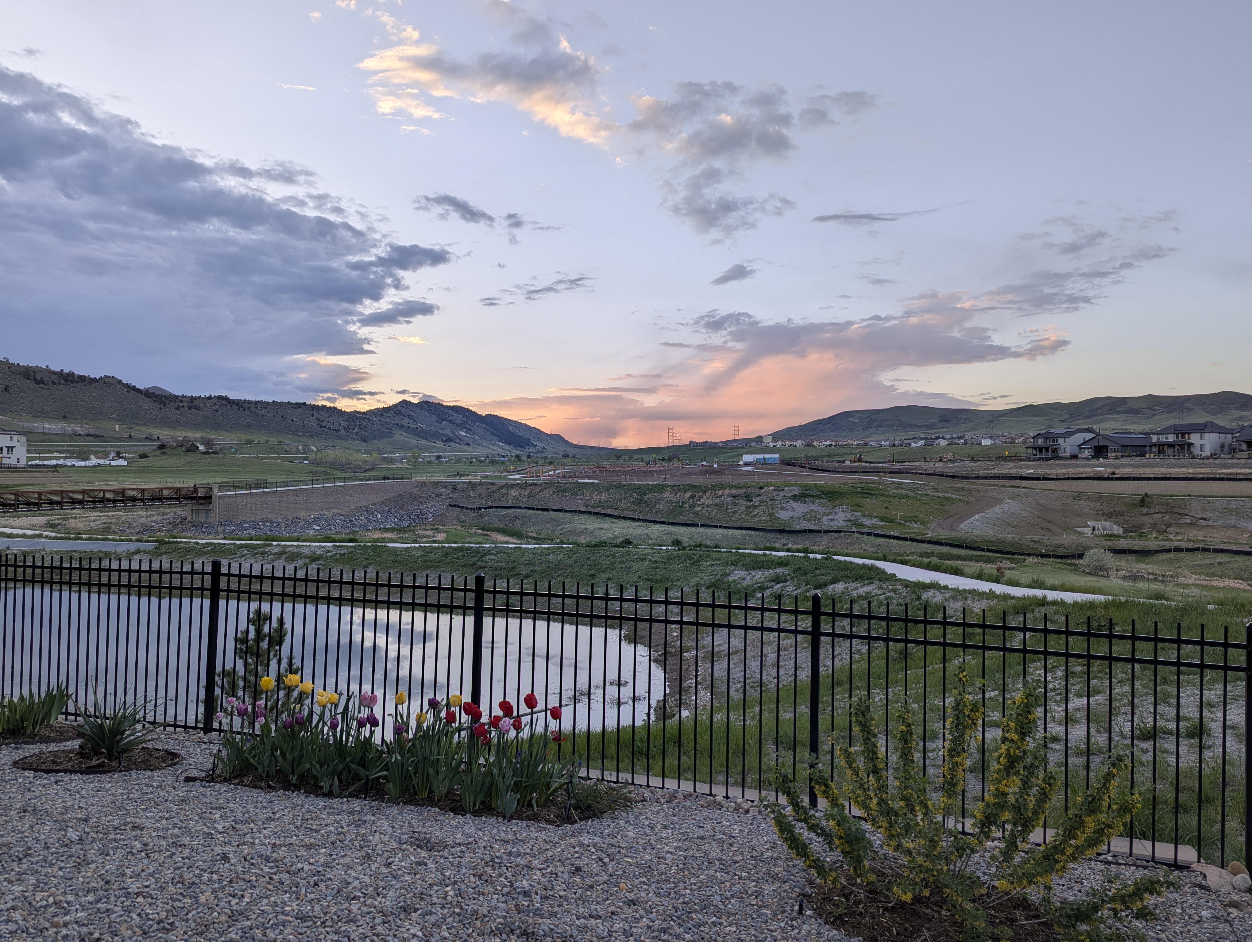 Garden, Flowers, Morrison, Colorado